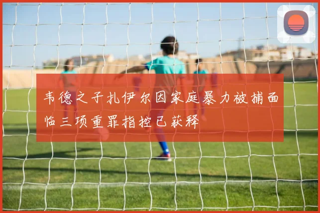 韦德之子扎伊尔因家庭暴力被捕面临三项重罪指控已获释